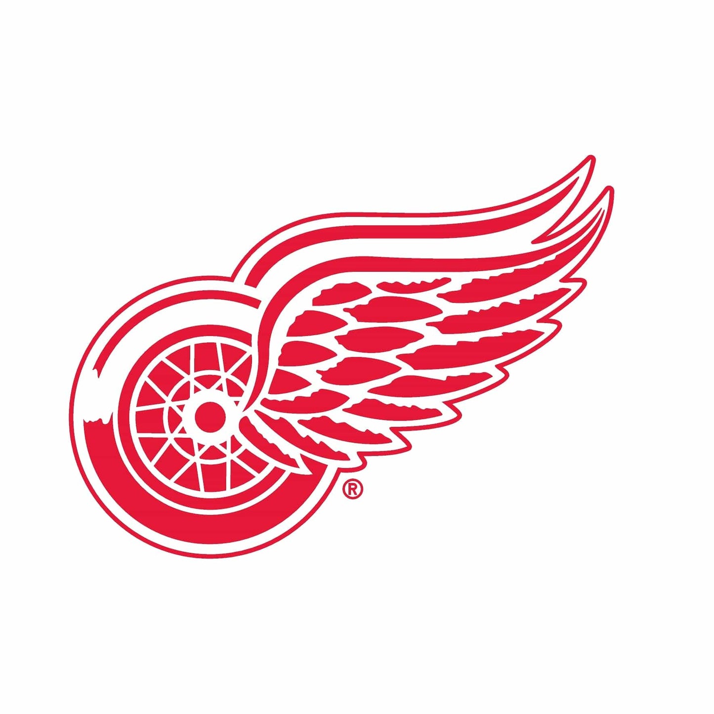 Detroit Red Wings® Puck Light Lens