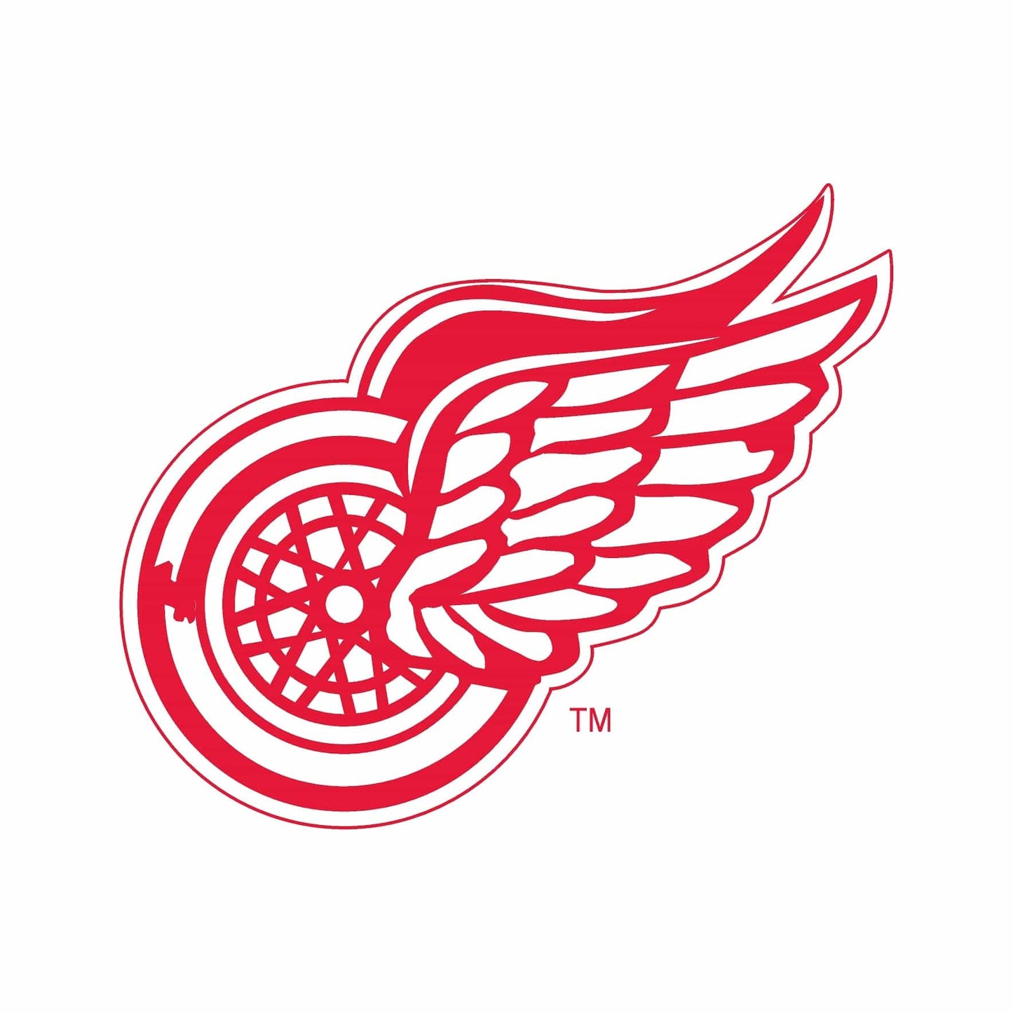 Detroit Red Wings® Puck Light Lens