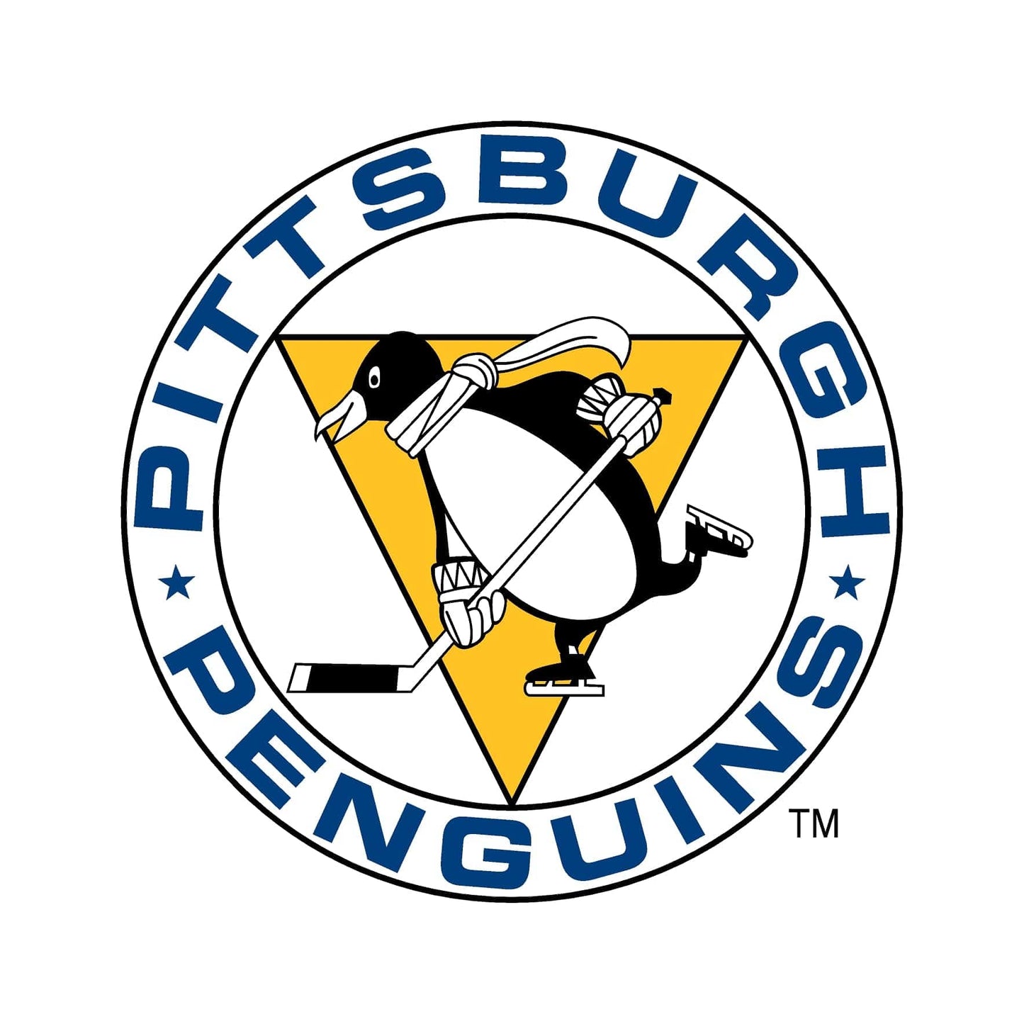Pittsburgh Penguins® Puck Light Lens