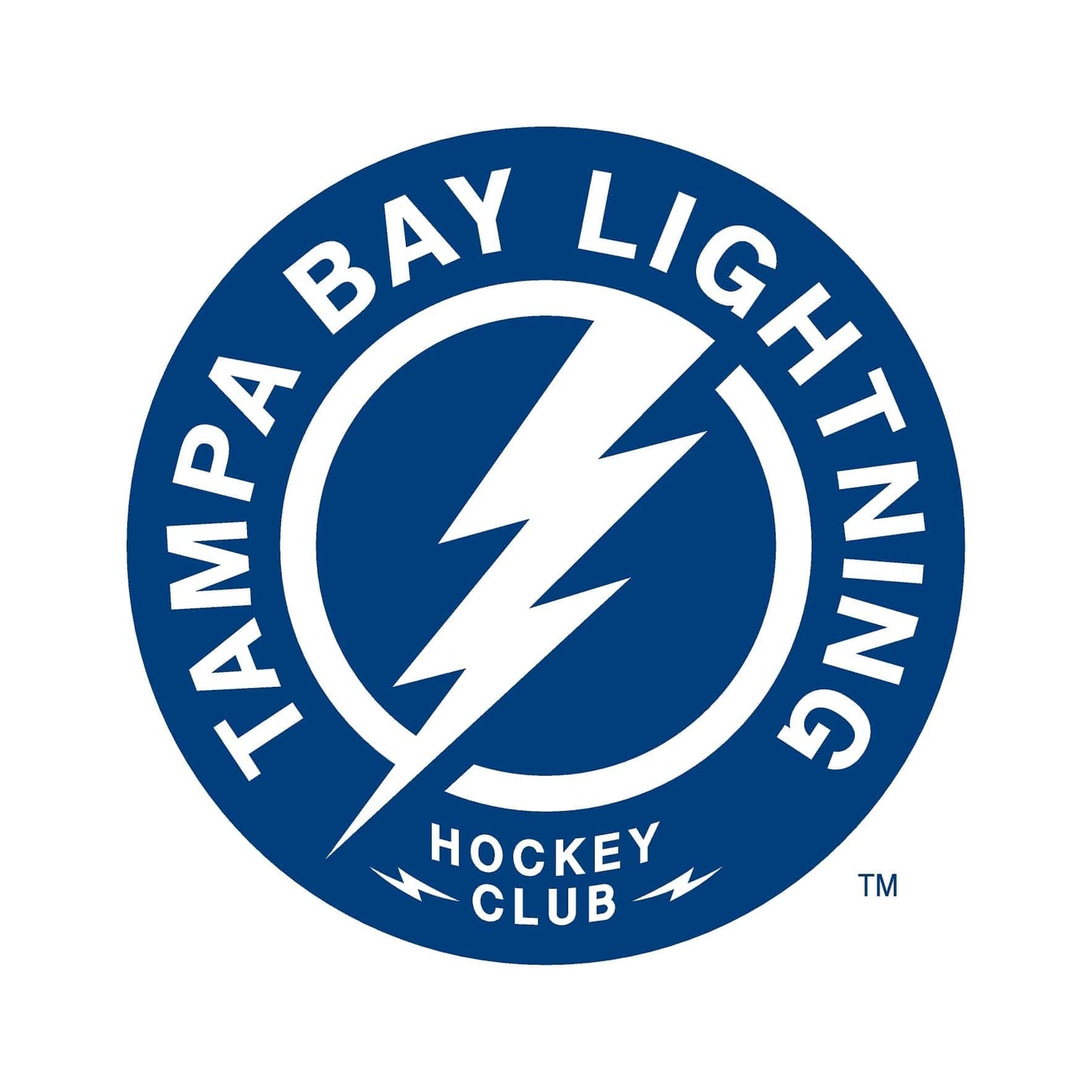 Tampa Bay Lightning® Puck Light Lens